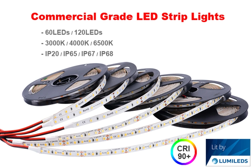 Installing Living Room Ceiling Flexible Cutting Connecting Custom Dimmable 2700K 3000K 4000K 5000K 6500K 12V 24V DC Waterproof Outdoor LED Strip Light