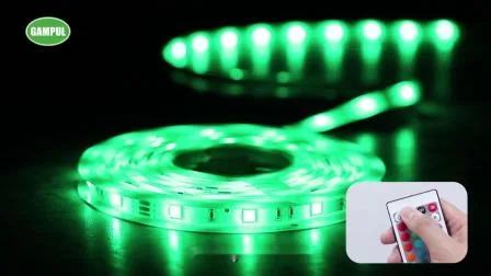 Tira de luces LED RGB de 220V, 110V, 5050, 5m, rollo Flexible Multicolor para exteriores, resistente al agua, tira de luces LED de cuerda de doble Color RGB