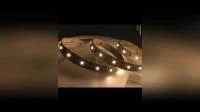 Blanco cálido de alta calidad 3014 60LEDs/M 6W/M 12V LED Strip003